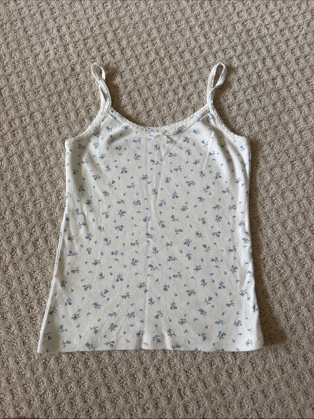 Brandy Melville Cream Cami with Blue Floral Print